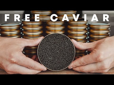 Giving Strangers Free Caviar