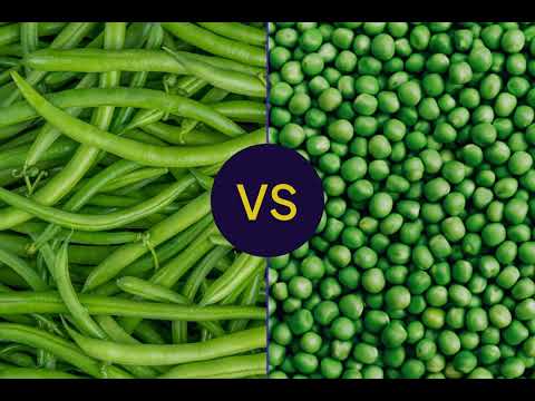 Стручкова квасоля та горох: порівняння харчових цінностей