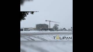 Ndërtimi I Tulipanit Gjatë Dimrit