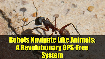 Robots Navigate Like Animals: A Revolutionary GPS-Free System
