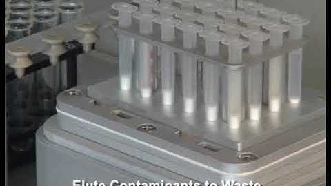 Automated SPE (Solid Phase Extraction)