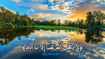 تلاوات نادرة..|| حالات واتس اب دينية " مقاطع دينية قصيرة " مقاطع انستقرام دينية..