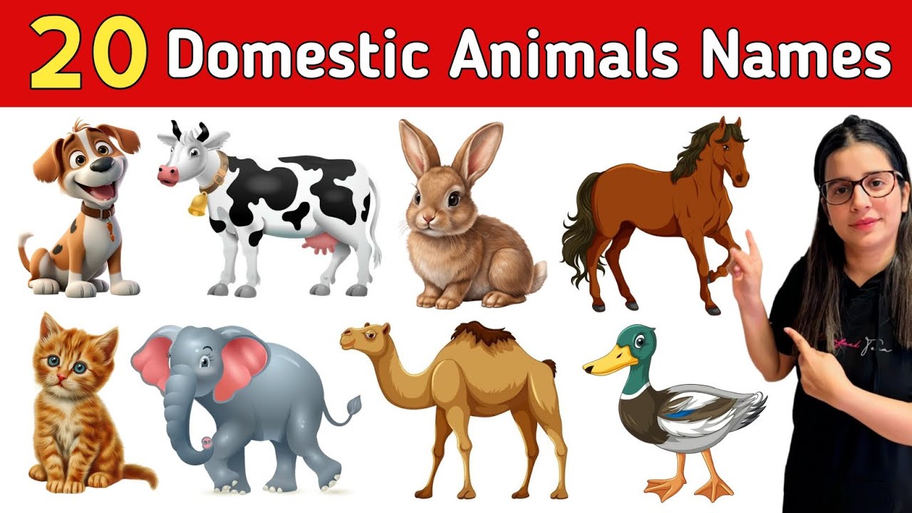 20 Domestic Animals Name | पालतू जानवर | Pet Animals | Animals Name for Kids 