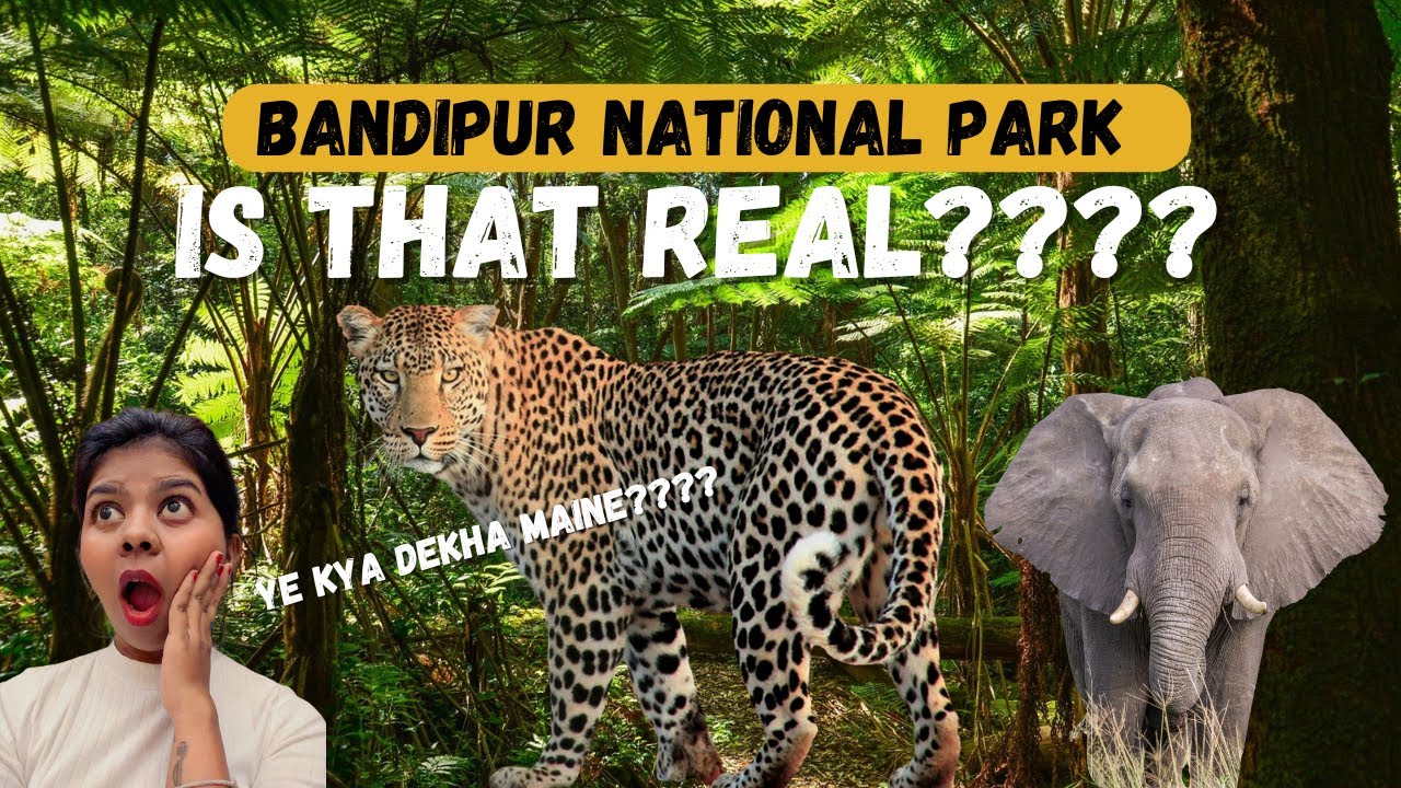 Bandipur National Park 😱🐆 | Leopard sighting | Jungle Safari VlogOnce in a Lifetime! 
