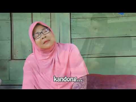 Aduen Nagan - POMA (Official Video Music)