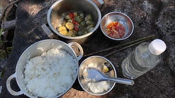 Một Mình Trong Rừng Sâu - Tập 2 I Bữa Cơm Xế Và Màng Bắt Ếch Gộp Mất Ăn