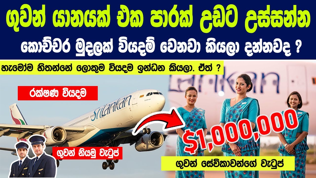 ප්ලේන් එකක් උඩට උස්සන්න කොච්චර මුදලක් වියදම් වෙනවා කියලා දන්නවද ? | How Much Do Airplanes Cost?