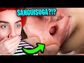 MI SONO SVEGLIATO COSI'..