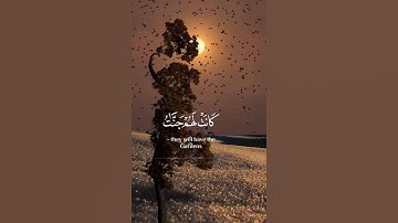 قران كريم بصوت جميل #قران_كريم #اكسبلور #راحة_نفسية #المصحف #quran #لايك #قرآن