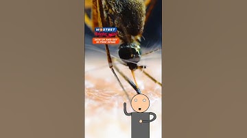 // ANGRY PRASH // ICONIC // R.G BUCKET LIST // KARNA ANIMATION // ANIMATION