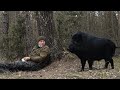 動物は飼い主を絶対忘れない 動物との数年後の再会