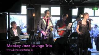 Miniatura de vídeo de "Monkey Jazz Lounge Trio - live achtergrond lounge jazz"