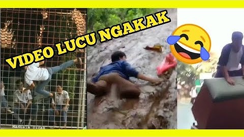 Kumpulan Video Lucu Ngakak Menghibur Waktu Luang! 2022