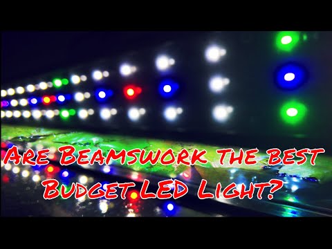 The Best Budget Light for your Aquarium? Beamswork LED Light Review