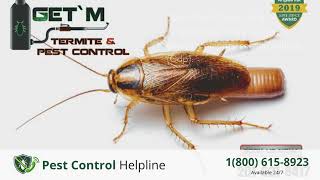 Famous Top 3 Pest Control in Milford Cdp Net Worth