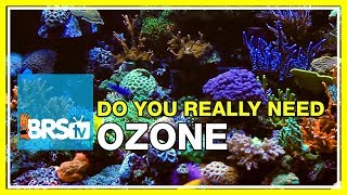 Week 28: Ozone and Reef Tanks: Crystal Clear Tanks but at a Cost! | 52 Weeks of Reefing
