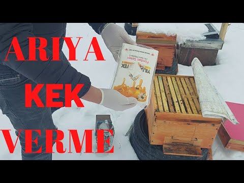 Bahar(!) bakımı /