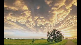 Slowboy Zeli  Adrenaline  Baile Bass  Ncs X Aurorian Records  Copyright Free 