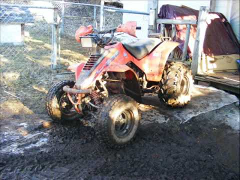 suzuki 230 quadrunner - YouTube