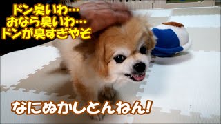 なにぬかしとんねん!どん臭いわオナラ臭いわドンが臭すぎってか!