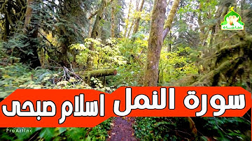 أجمل تلاوة خاشعة من سورة النمل ♥| مونتاج جميل راحة القران وجمال الطبيعة ♥ | القارئ اسلام صبحي
