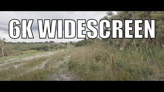 6K Widescreen Video | Let's Walk 🦶 In Nature | Short Walk | Part 2