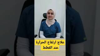 علاج ارتفاع الحرارة عند القطط- سلسلة معلومة لقطتك في دقيقة