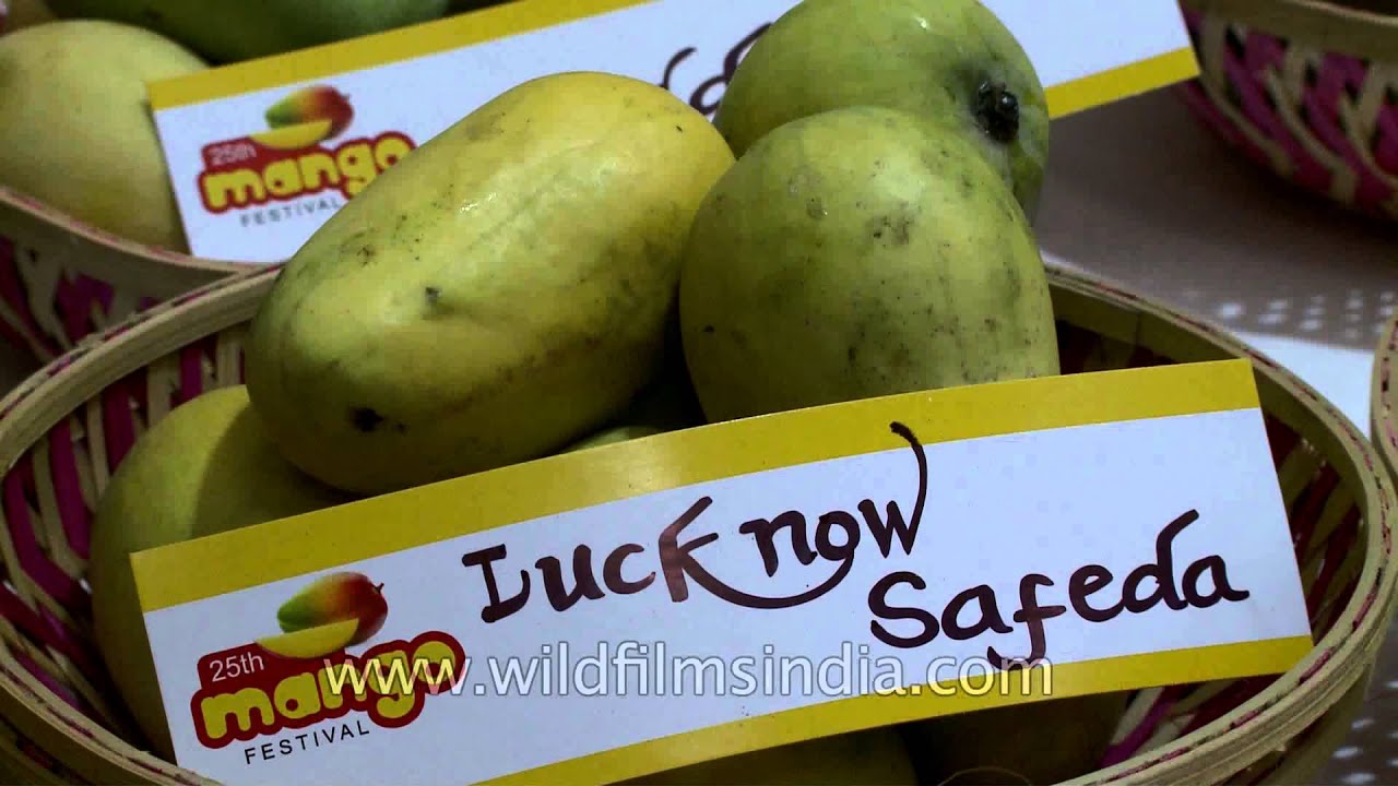 The king of all fruits YouTube