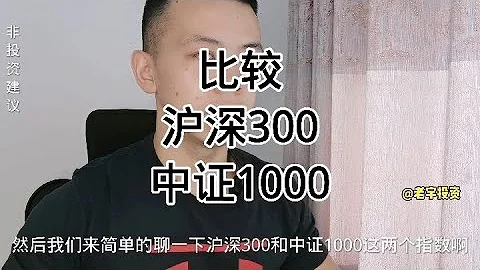 比较沪深300和中证1000指数，哪个更好？ - 天天要闻