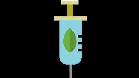 NoSQL injection Basics Tryhackme