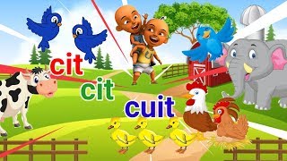 Cit cit cuit burung bernyanyi l upin ipin bernyanyi lagu populer sepanjang masa