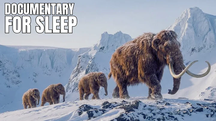 Understanding Earth’s 100,000-Year Ice Age Cycle | Documentary for Sleep