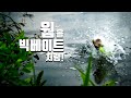 배스가 한입에 삼켜버리는 움직임 [with 신현민]