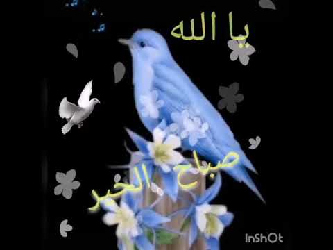 ما أجمل الص باح حين يبدأ بذكر الله أصبحنا وأصبح الملك لله