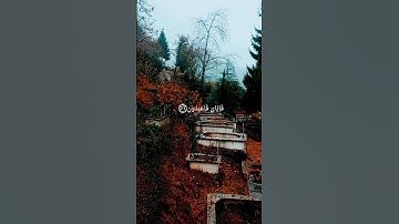 القاري: عبدالرحمن مسعد |سورة العنكبوت {٢٩/٥٦،٥٧} #القرآن_الكريم #القرآن #عبدالرحمن_مسعد @9li9