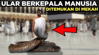 GEMPAR! DITEMUKAN ULAR BERKEPALA MANUSIA DI MEKAH TERNYATA GARA-GARA LAKUKAN INI #KisahStory