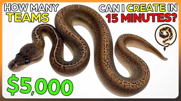 I tried to Speedrun Building Ball Python Breeding Teams - It didn't go well