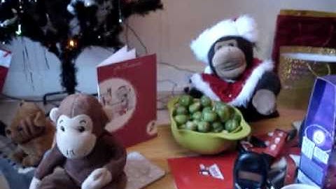 Merry Chimpmas!