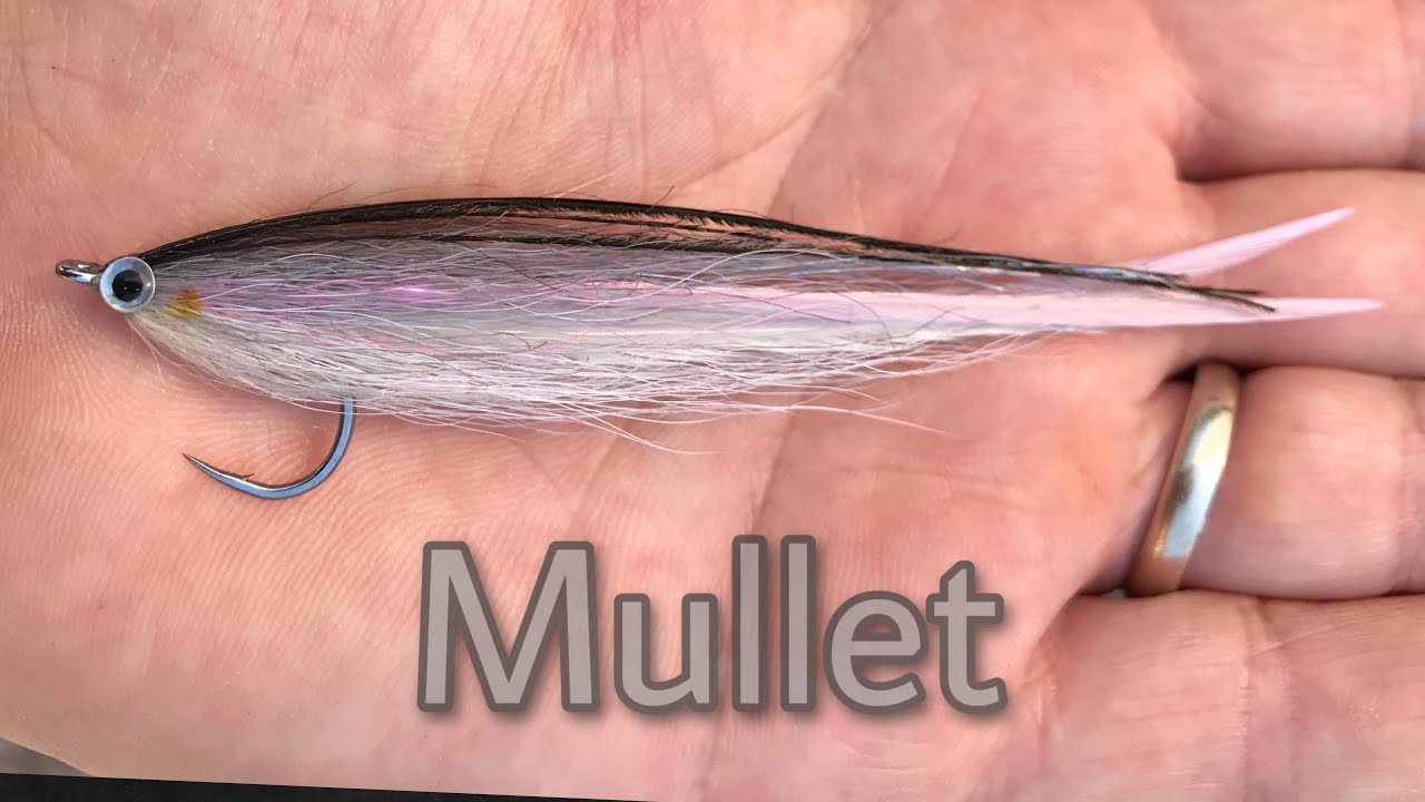 Fly Tying : Mullet minnow 