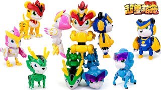 Superstar Pigman Five Pet Deformation Ggbond Phoebe Daddy Superq Bobbie Transformation