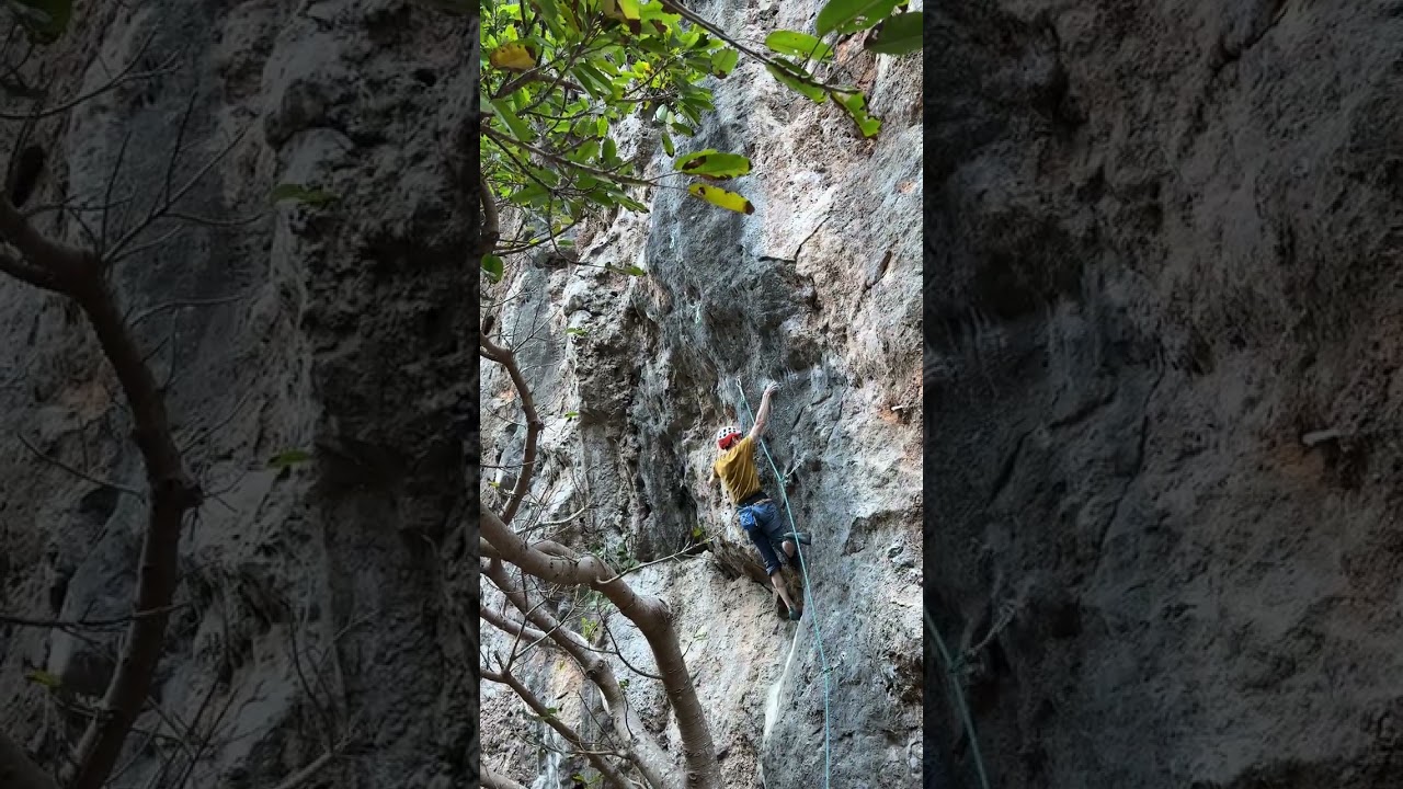 Rock path - 13a / 7c+