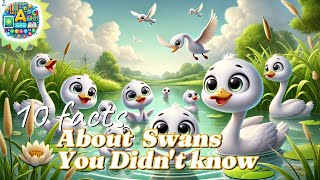 Swans Secrets: Mind-blowing Facts You Didn't Know