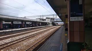 1060908 台鐵412次普悠瑪新自強號(130週年彩繪版)花蓮停車 *