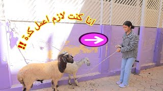 أمنية القوة تساعد امها ـ شوف حصل ايه !!