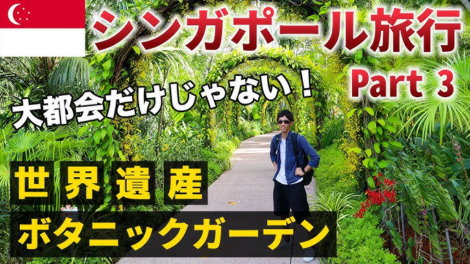 シンガポールに住む日本人が ドンキ で買うもの勝手にbest10 Youtube