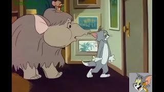 Tom Và Jerry Tiếng Việt 2018 Tập 2: Bảo Vệ Chú Voi Con