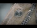 The 12th Longines Beijing Masters - 30sec Promo