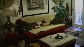 Feng Shui 101: Introduction And Basics