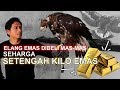 Elang Emas Dibeli Mas-Mas Seharga Setengah Kilogram Emas - Golden Eagle as a Pet, #Goldeneagle