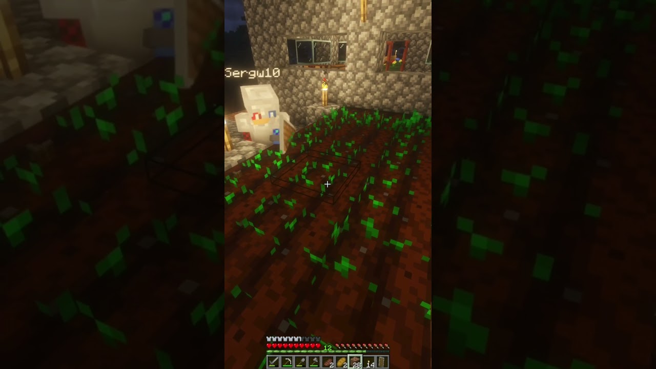 30 jan Minecraft play short Survivalcraft 2 